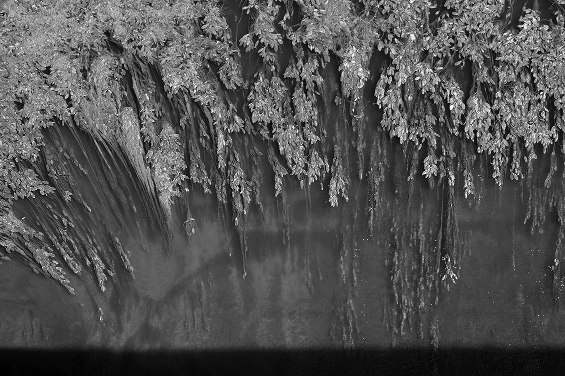 ponte alla grazie 8-2017 1274