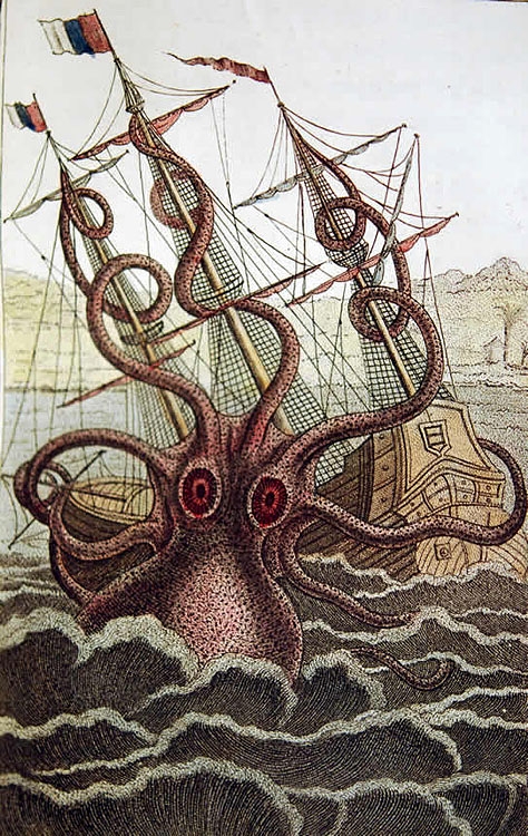 poulpe colossal buffon