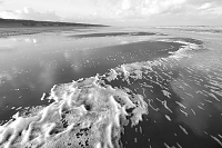 s-Gravenzande 11-2017 8141