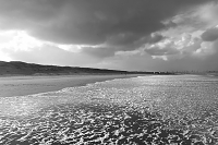 s-Gravenzande 11-2017 8298