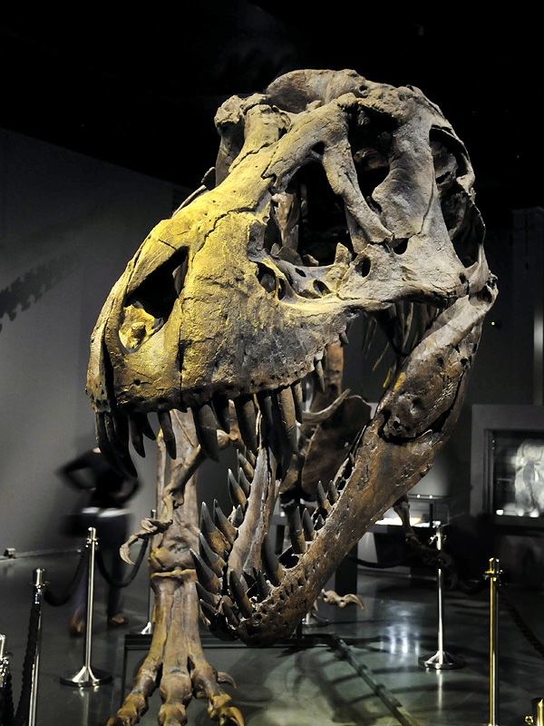 stan oslo 8-2015 8391