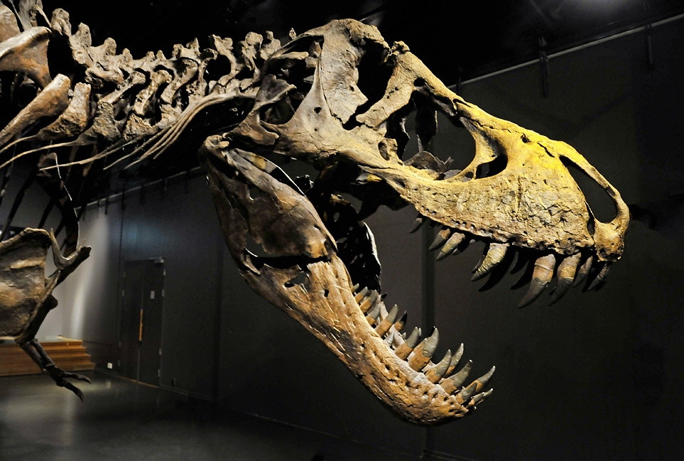 stan oslo 8-2015 8397