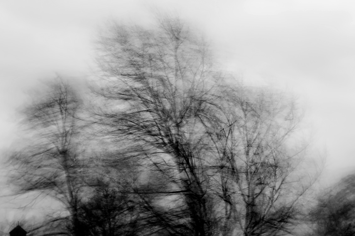 westerstorm 1-2018 9802