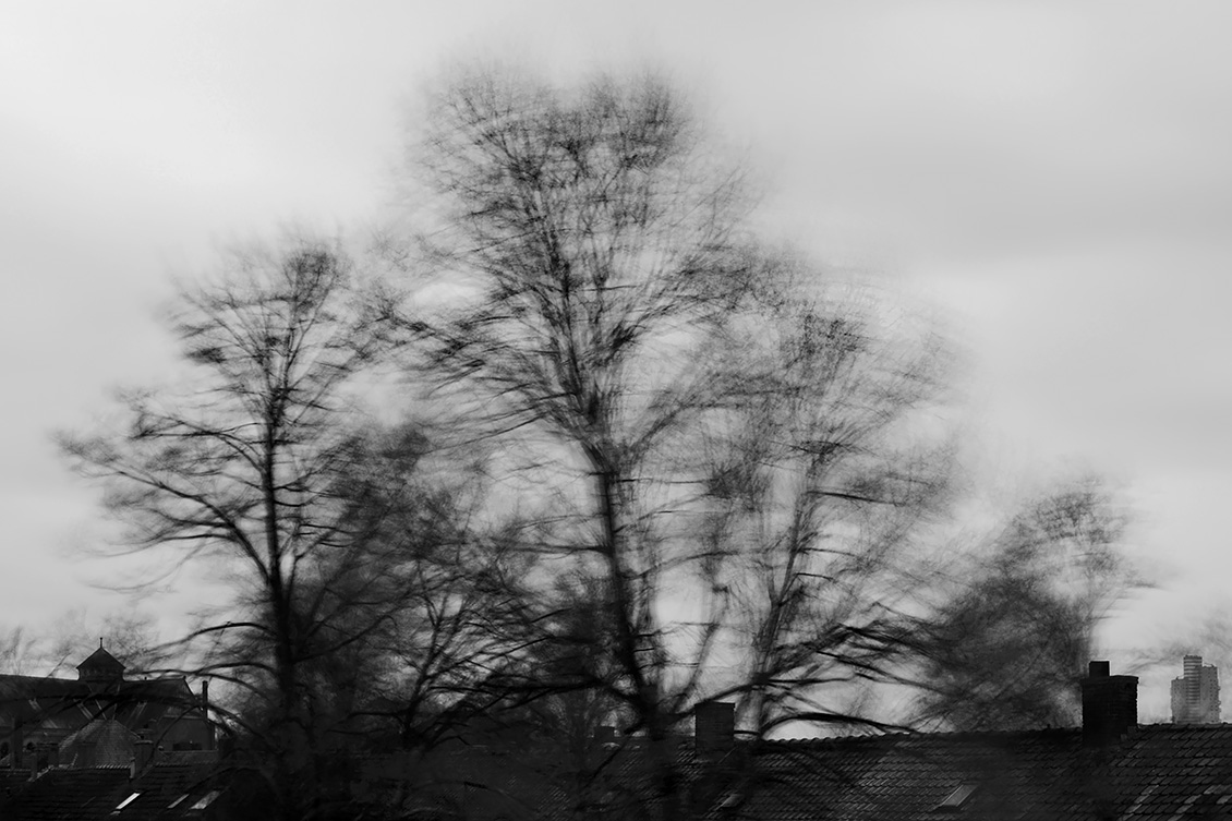 westerstorm 1-2018 9819