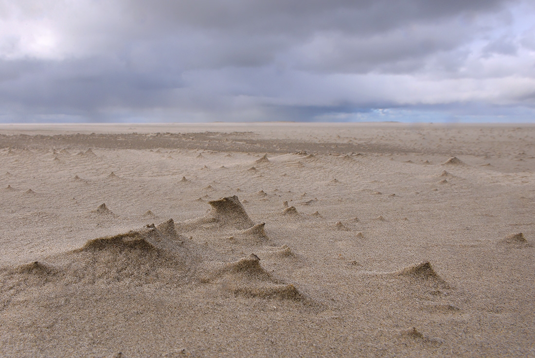 westerstrand 4-2017 8771