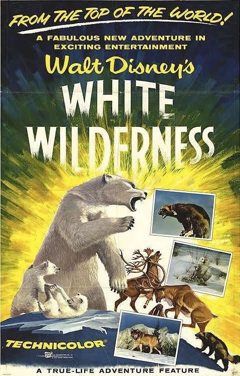 white wilderness