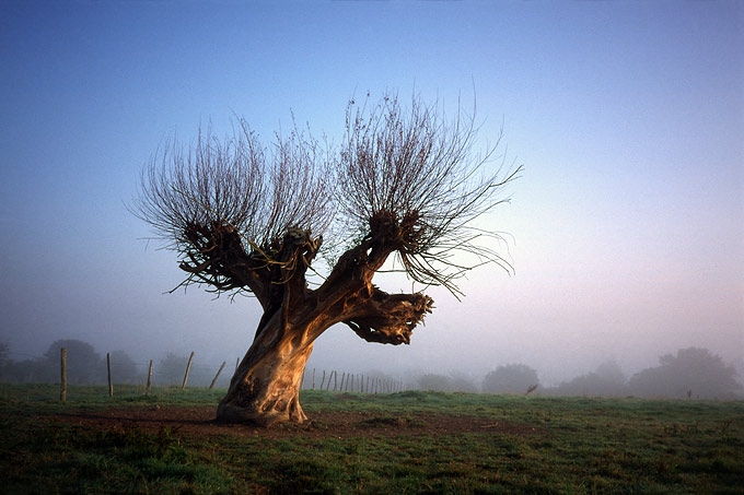 zonsopgang in kedangue