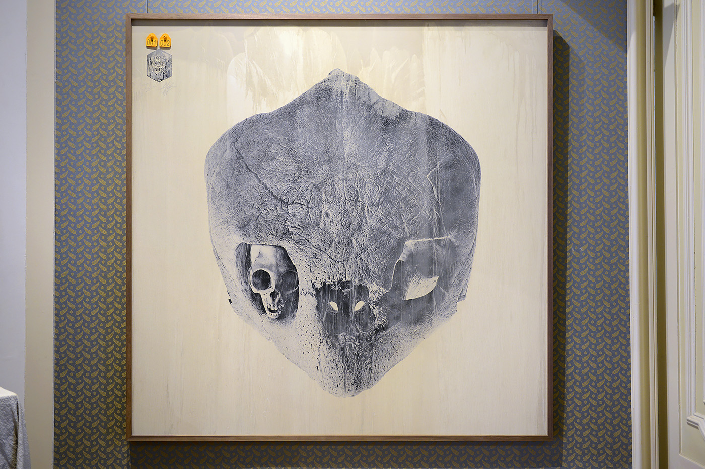 001.002 darwin sinke v tongeren 6-2022 3742