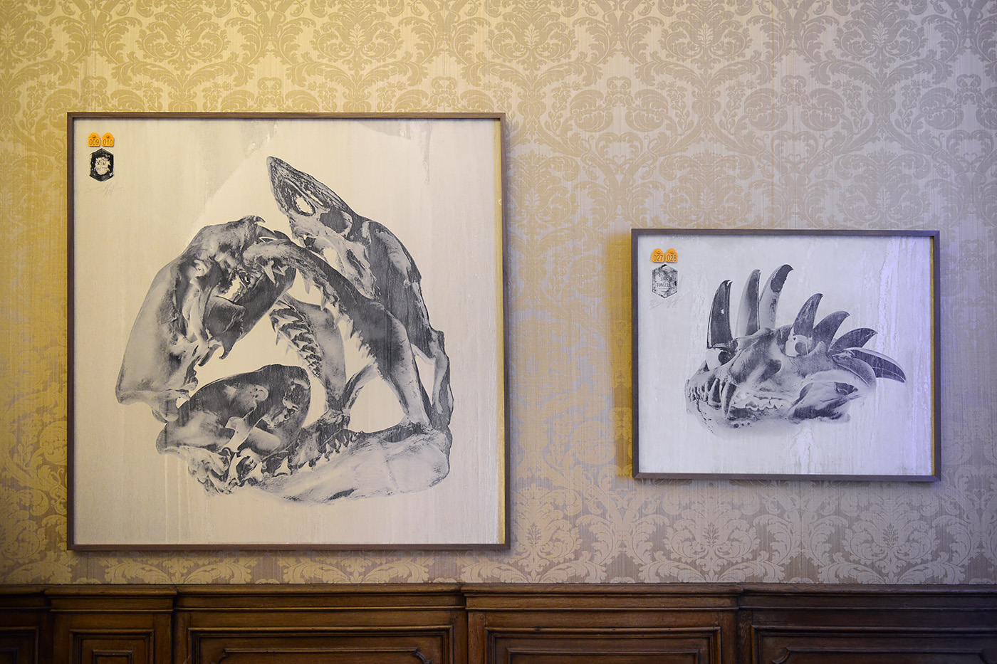 009.010 and 027.028 darwin sinke v tongeren 6-2022 3783