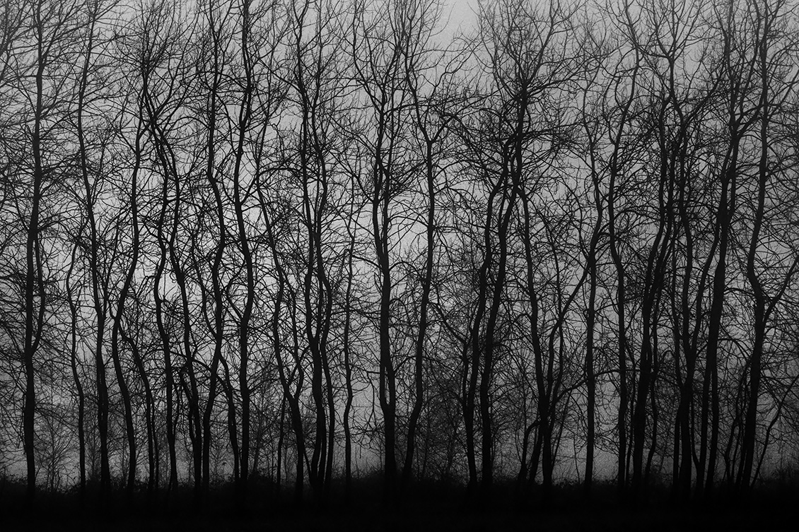 Leijkeven 1-2020 0918