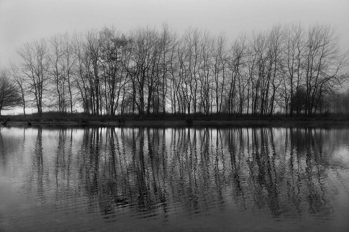 Leijkeven 1-2020 0919