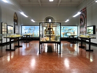 Museo Giacomo Doria 7-2019 7785