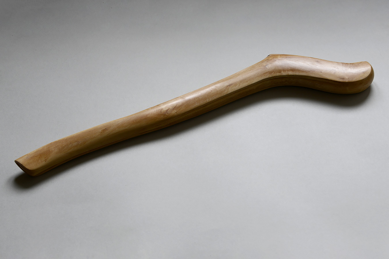 ZGK 3 (femur) 11-2023 9323