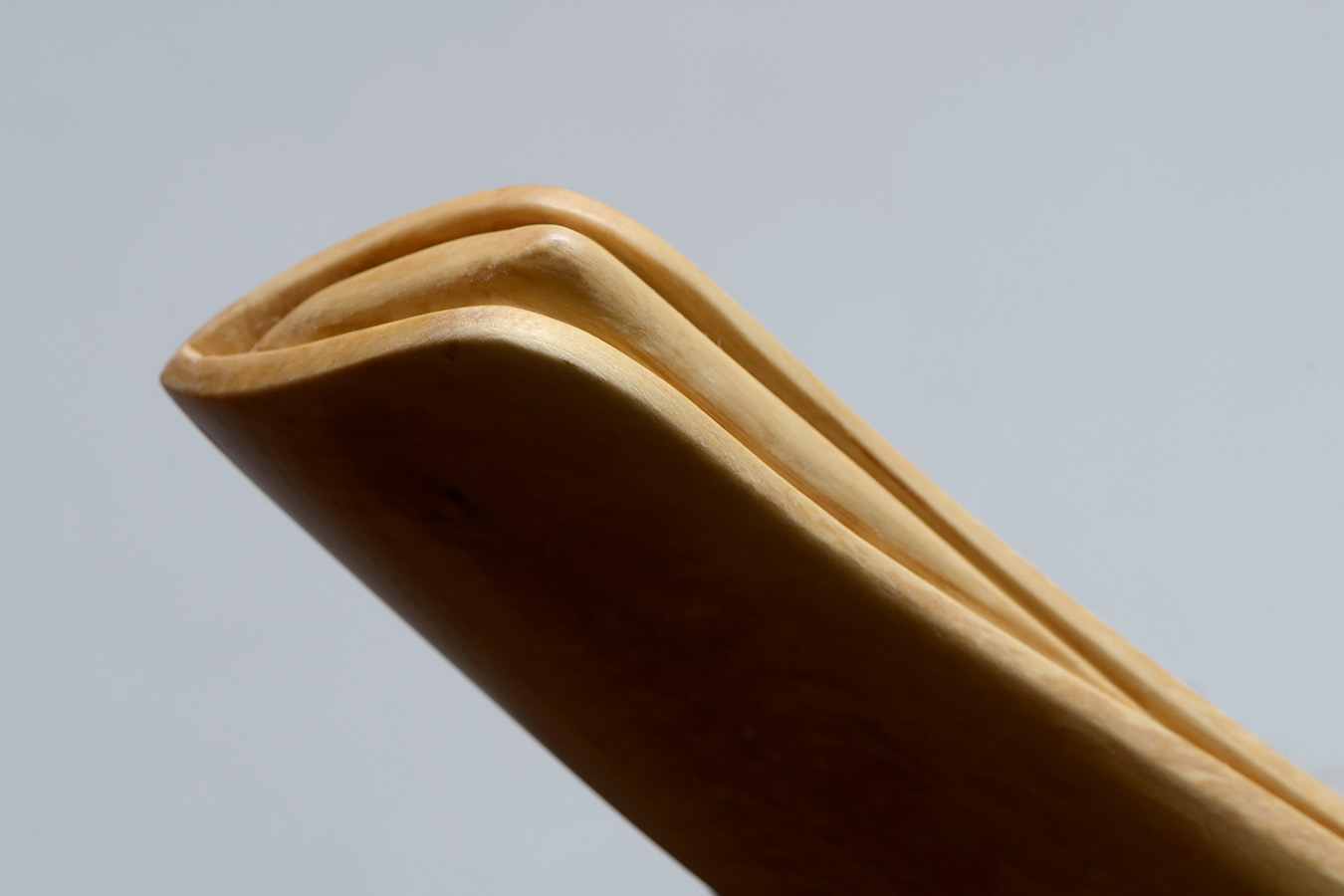 ZGK 3 (femur) 11-2023 9343