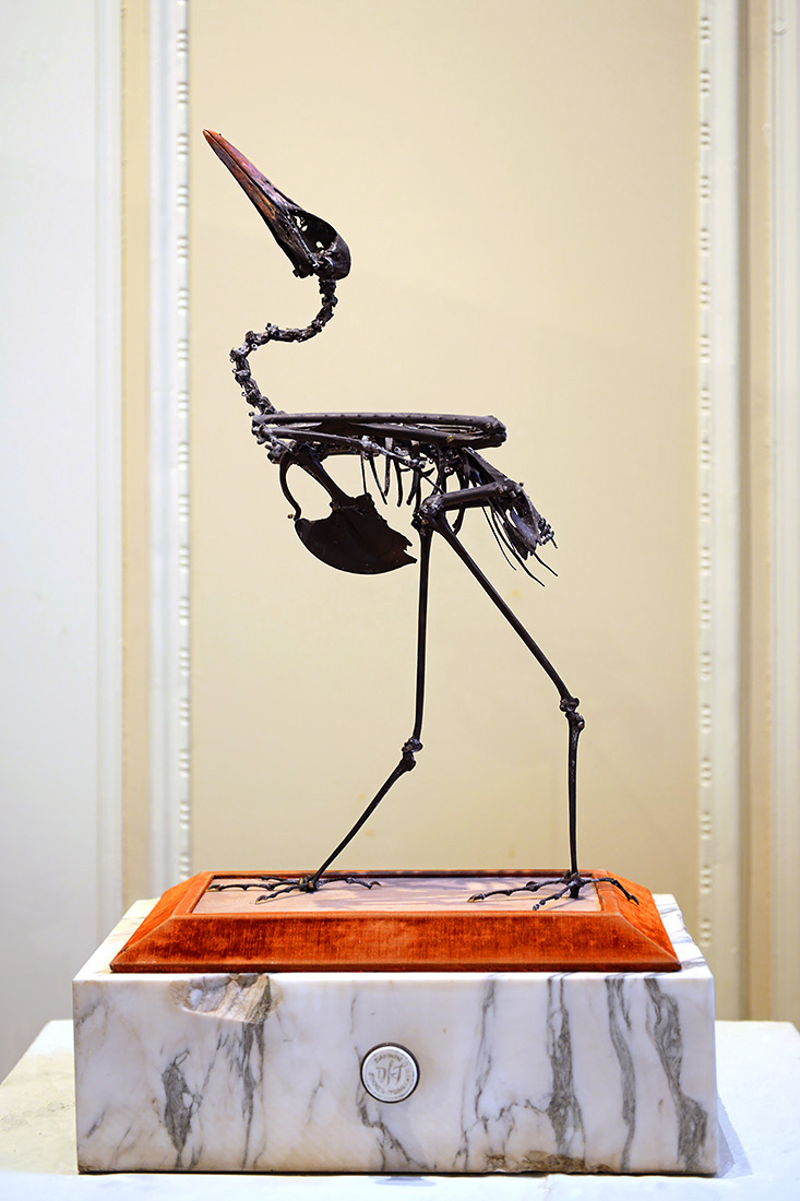 abdims stork darwin sinke v tongeren 6-2022 3744