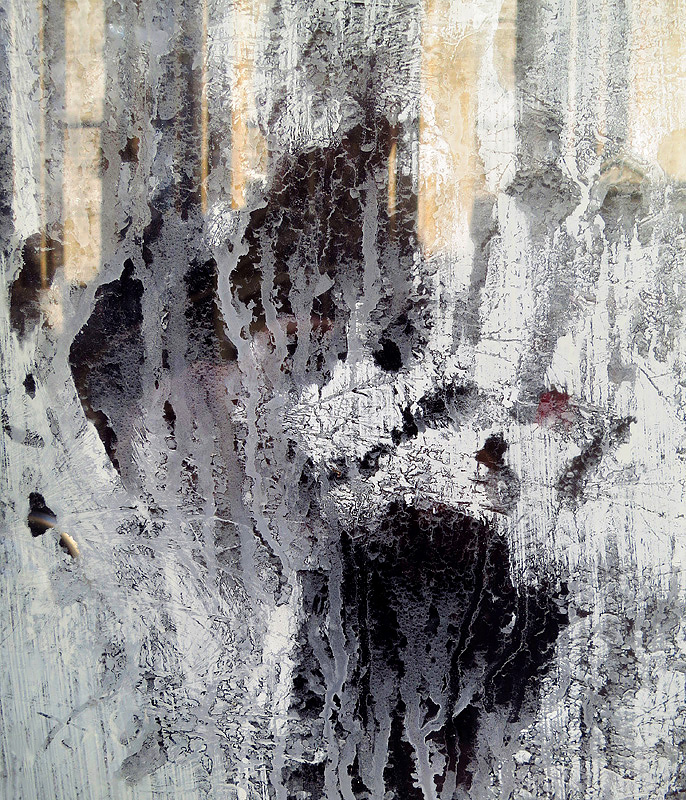 antwerpen 10-2014 4174