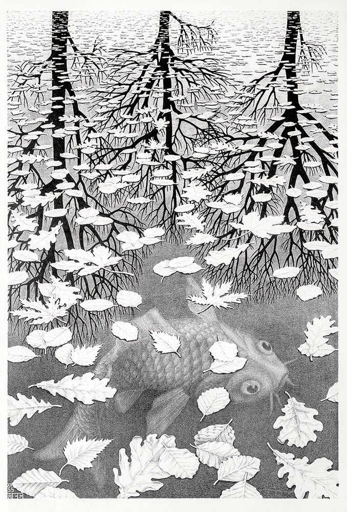 drie werelden door m.c. escher 1955