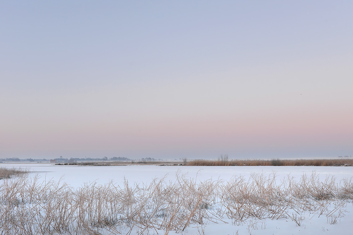 groene jonker 2-2021 5522