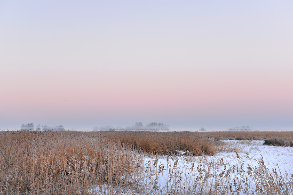 groene jonker 2-2021 5526