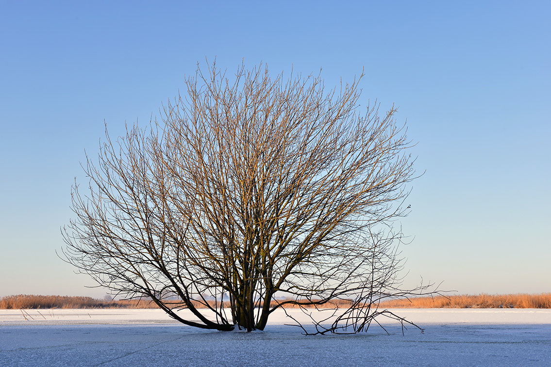 groene jonker 2-2021 5626