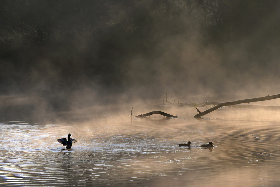 groot goorven 11-2020 4045