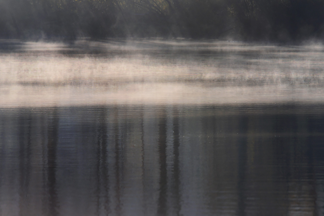 groot goorven 11-2020 4102