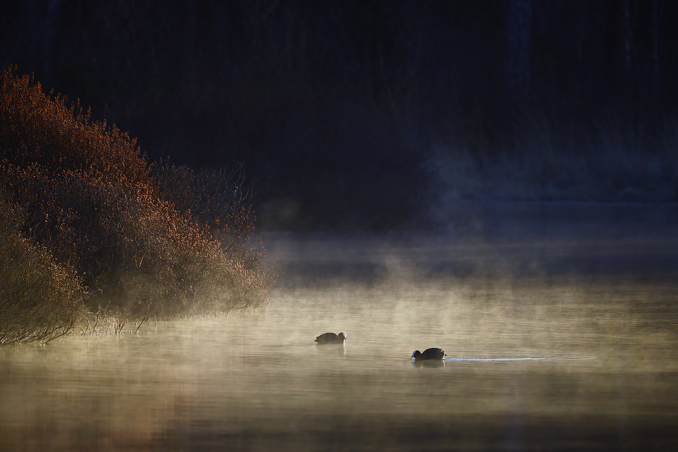 groot goorven oisterwijk 2-2023 6750