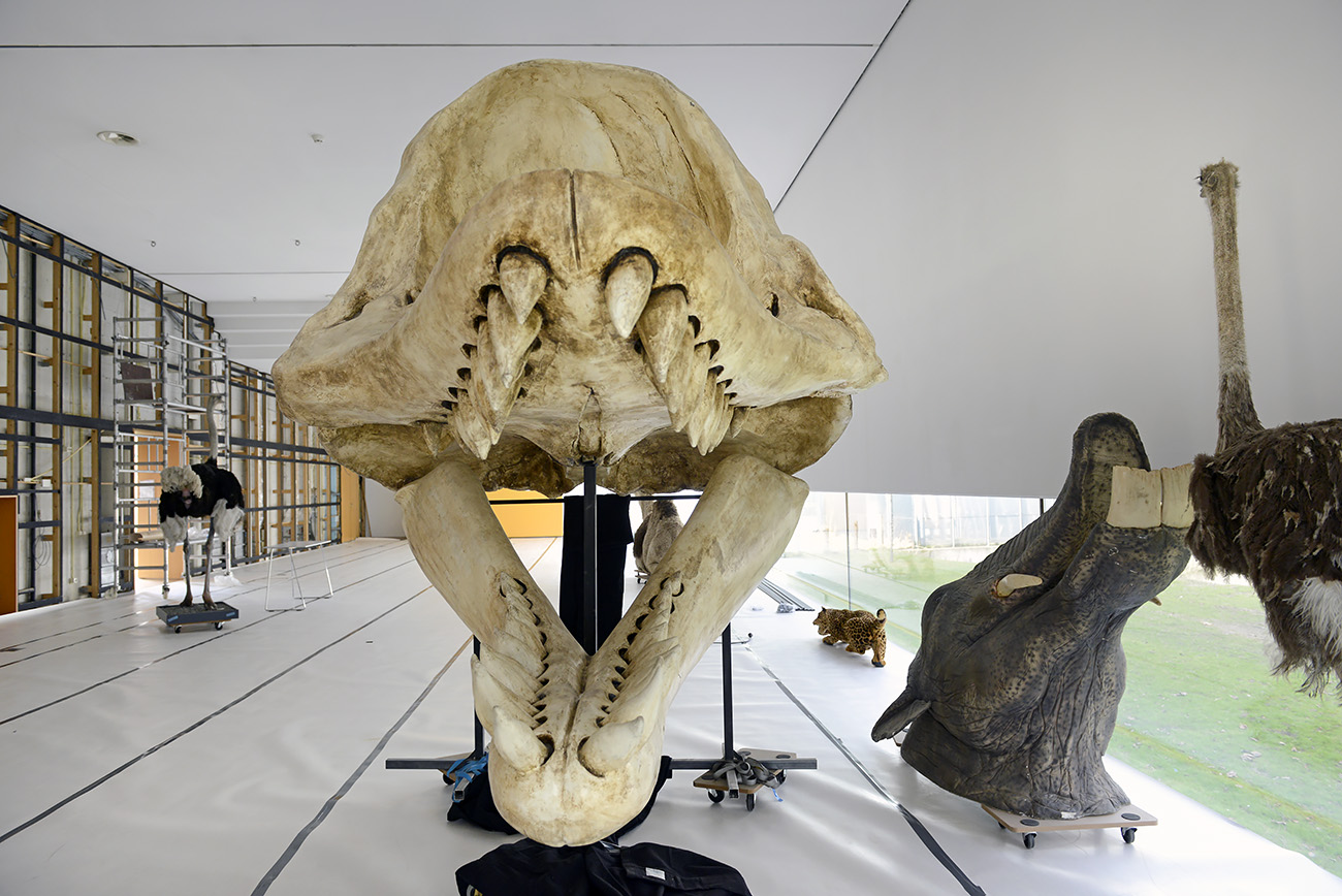 het natuurhistorisch rotterdam 3-2022 1368