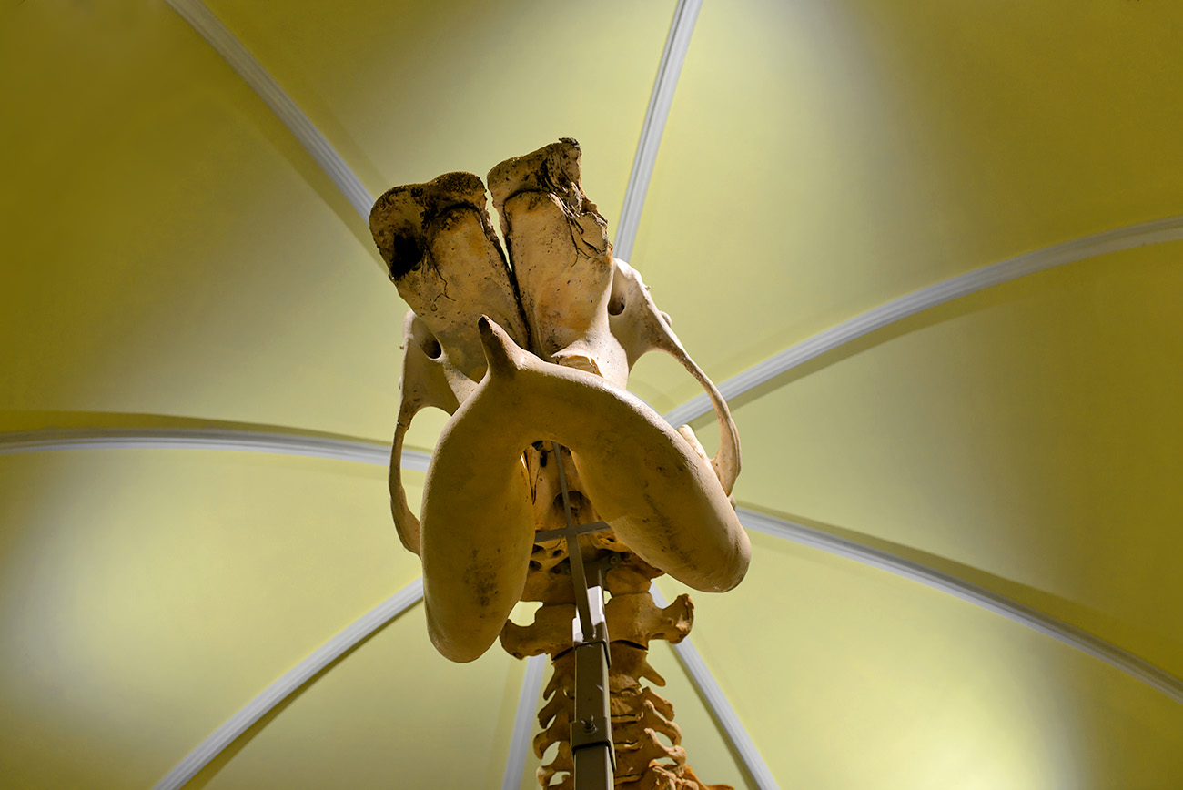 het natuurhistorisch rotterdam 3-2022 1402