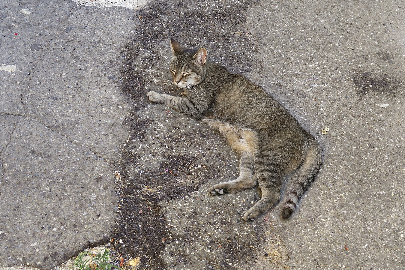 kat la spezia 9-2024 0758