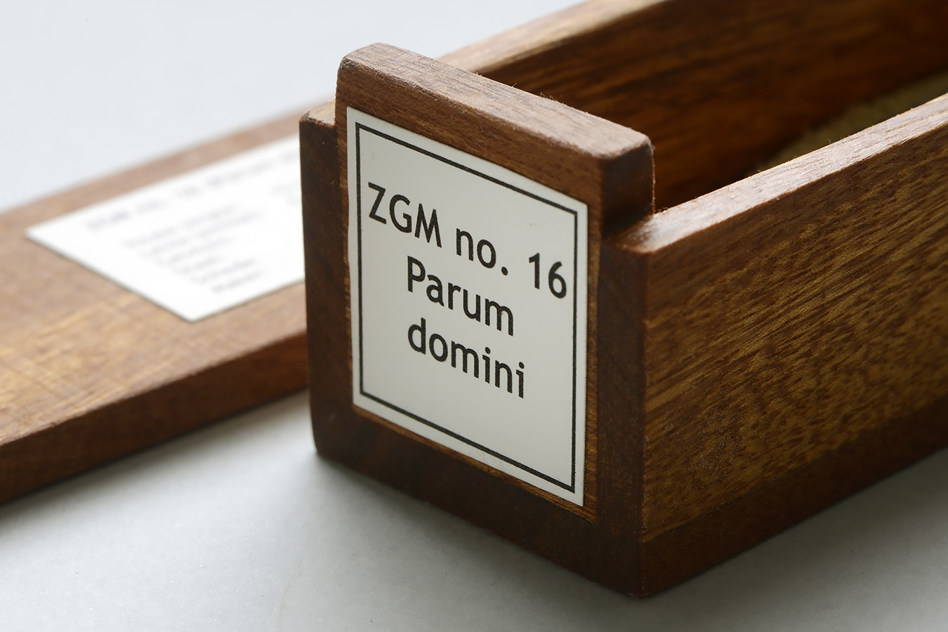 kistje zgm 16 parum domini 11-2024 1633