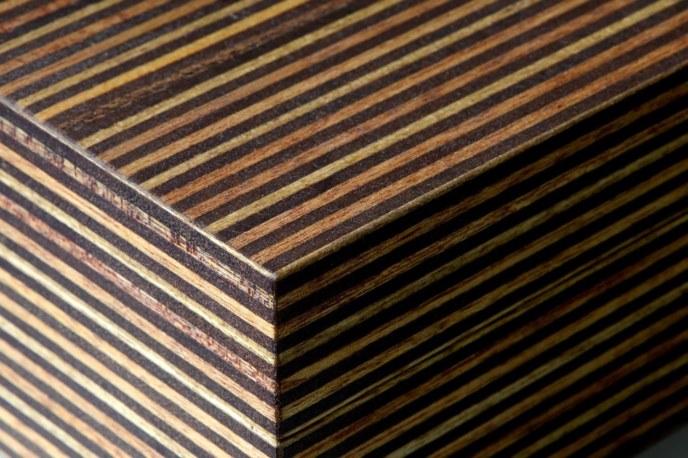 kistje zgm 19 tuti 12-2024 1829