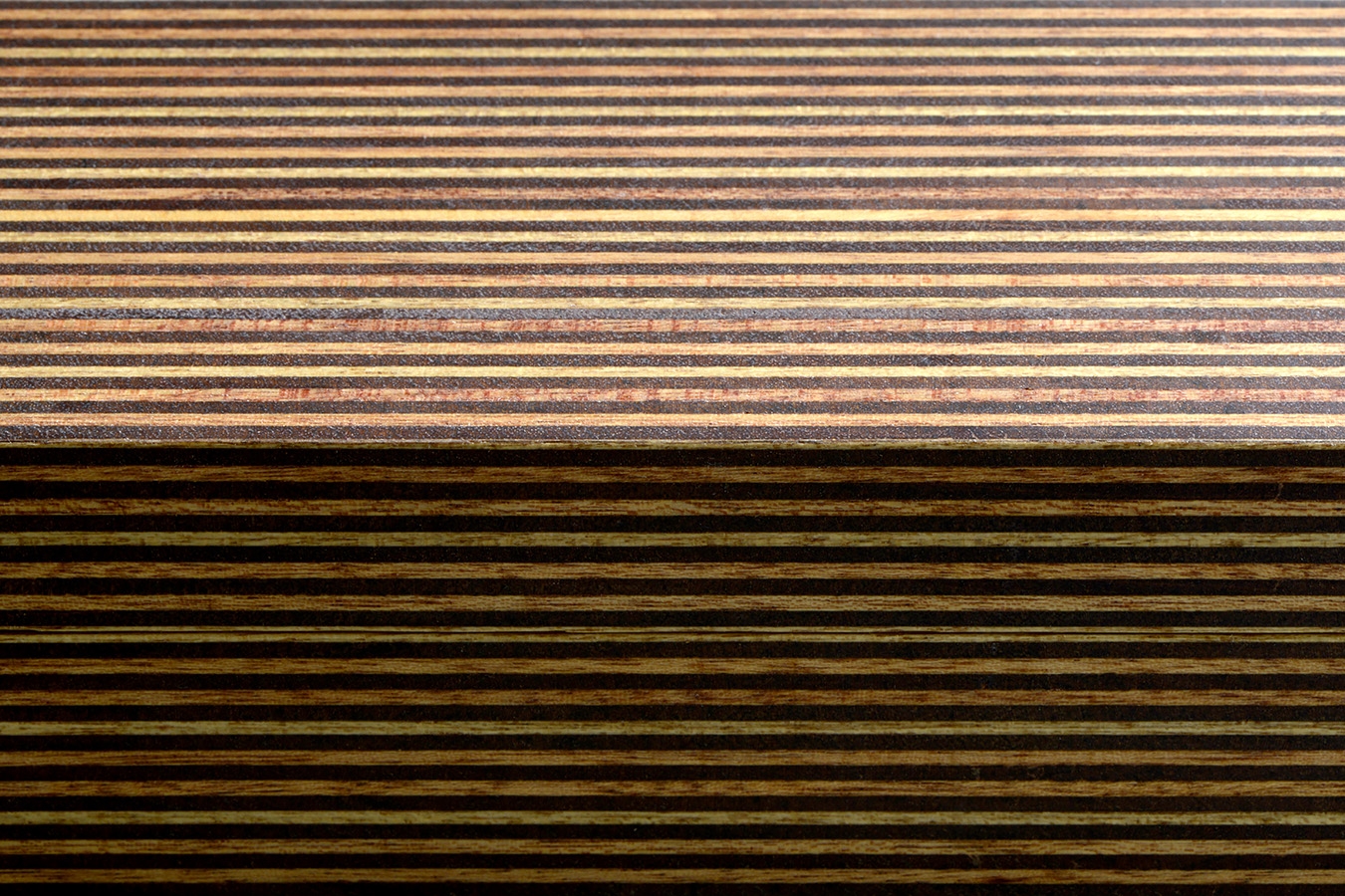 kistje zgm 19 tuti 12-2024 1833