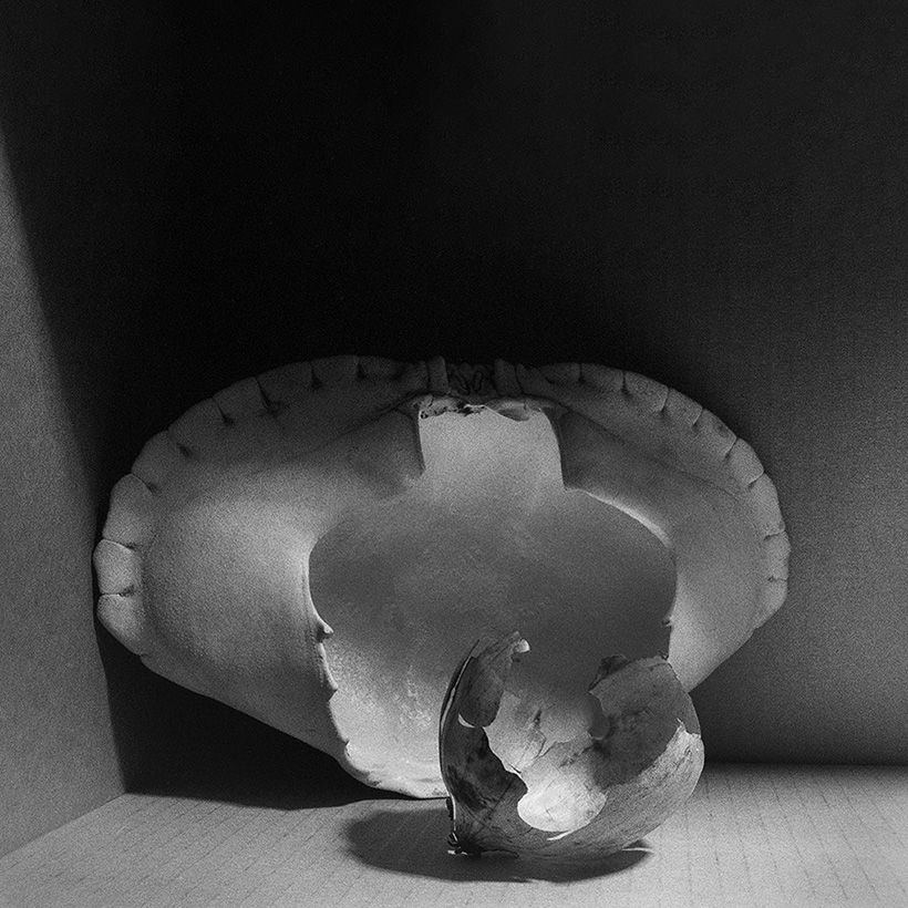 krab met ui 10-2018 7014