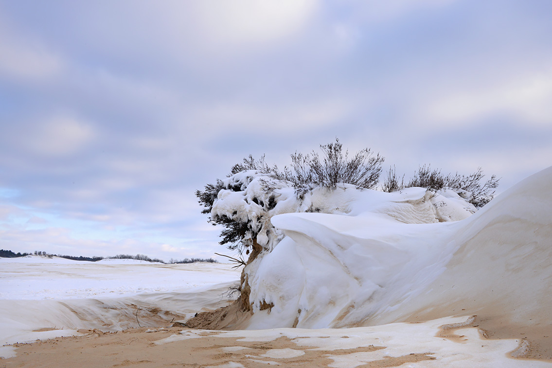 loonse en drunense duinen 2-2021 5502