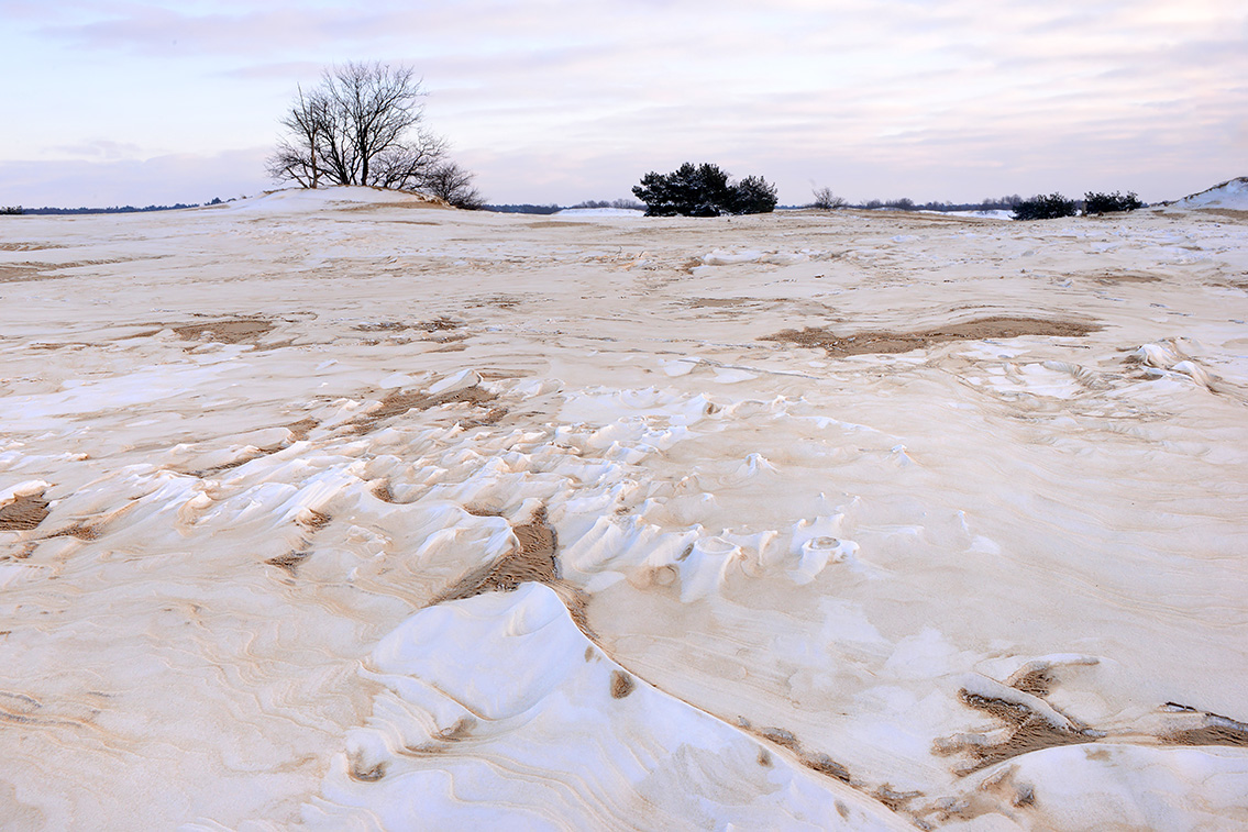 loonse en drunense duinen 2-20215472