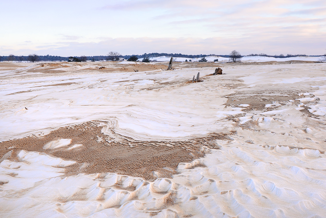 loonse en drunense duinen 2-20215476