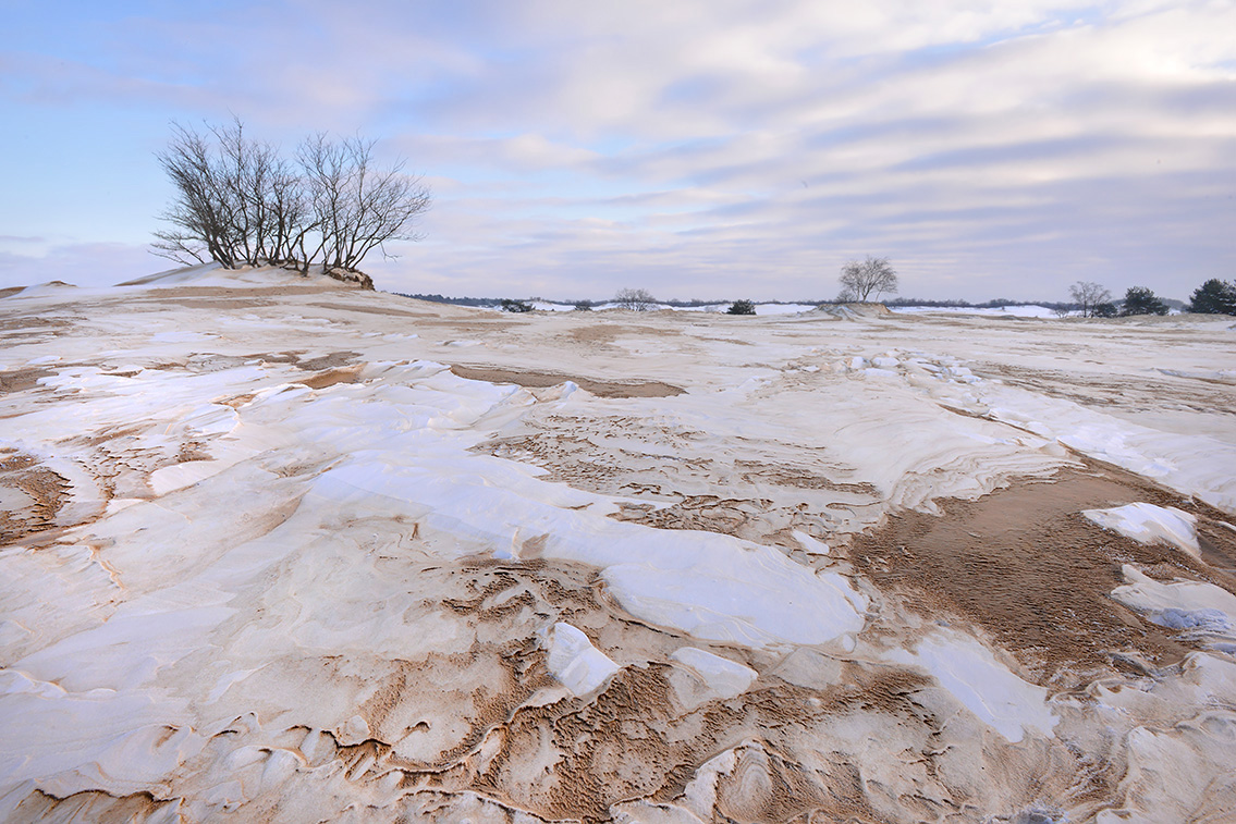 loonse en drunense duinen 2-20215481