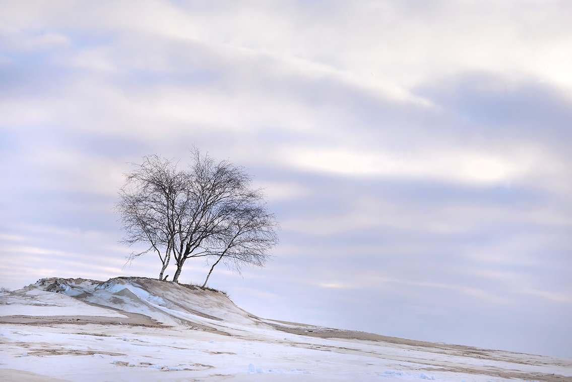 loonse en drunense duinen 2-20215488