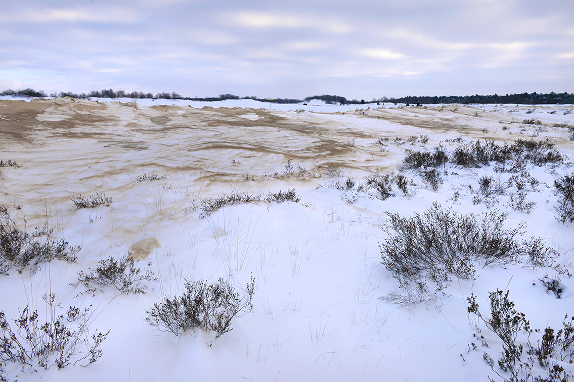 loonse en drunense duinen 2-20215508