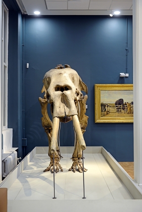 manchester museum 9-2023 8760