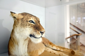 manchester museum 9-2023 8762