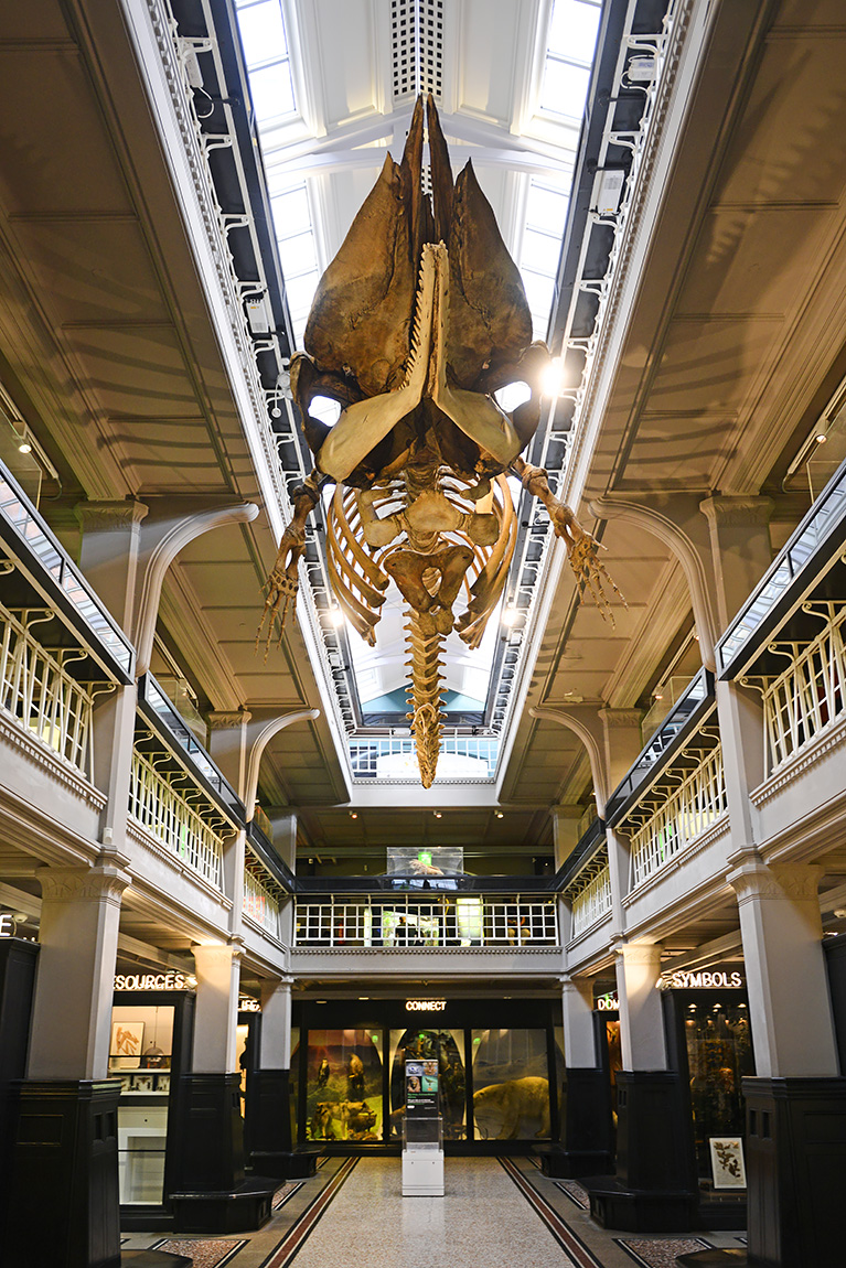 manchester museum 9-2023 8815