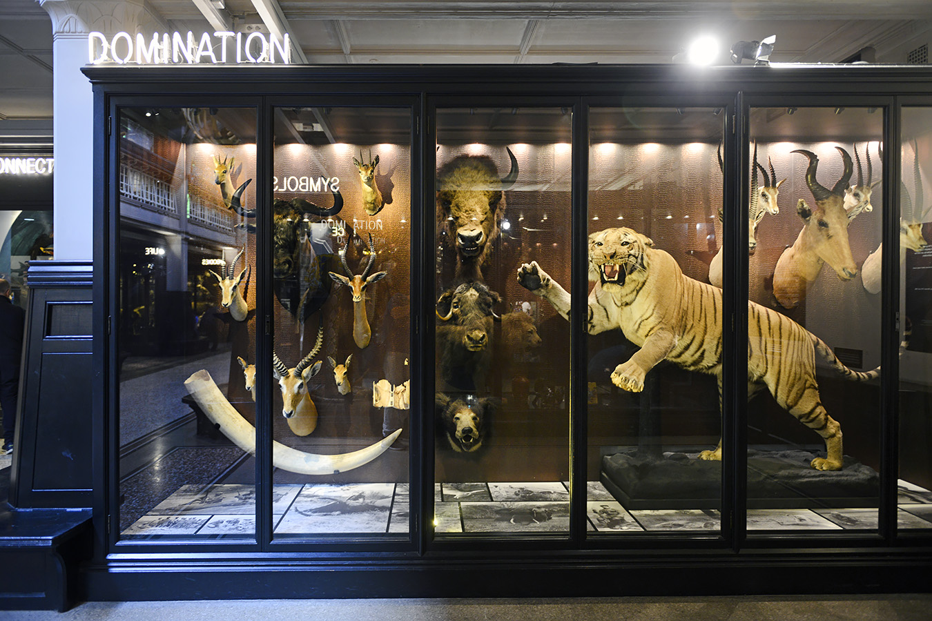 manchester museum 9-2023 8826