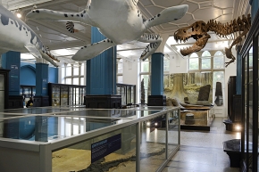 manchester museum 9-2023 8898