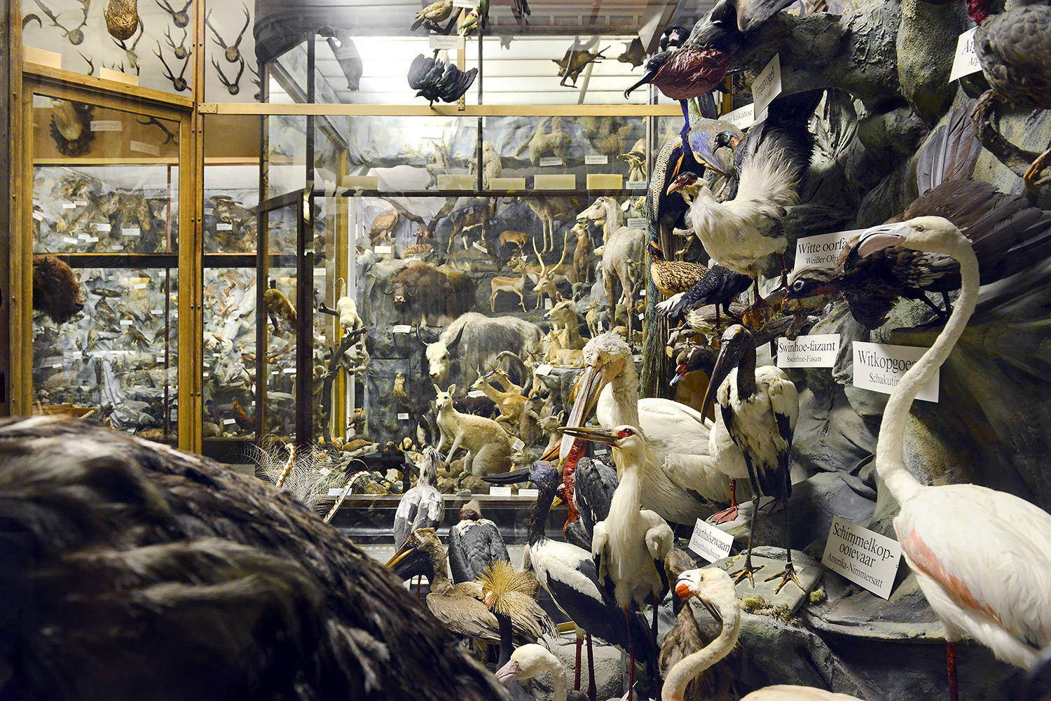 missiemuseum steyl 5-2022 2382