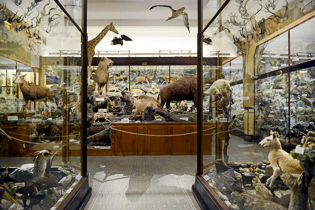 missiemuseum steyl 5-2022 2389