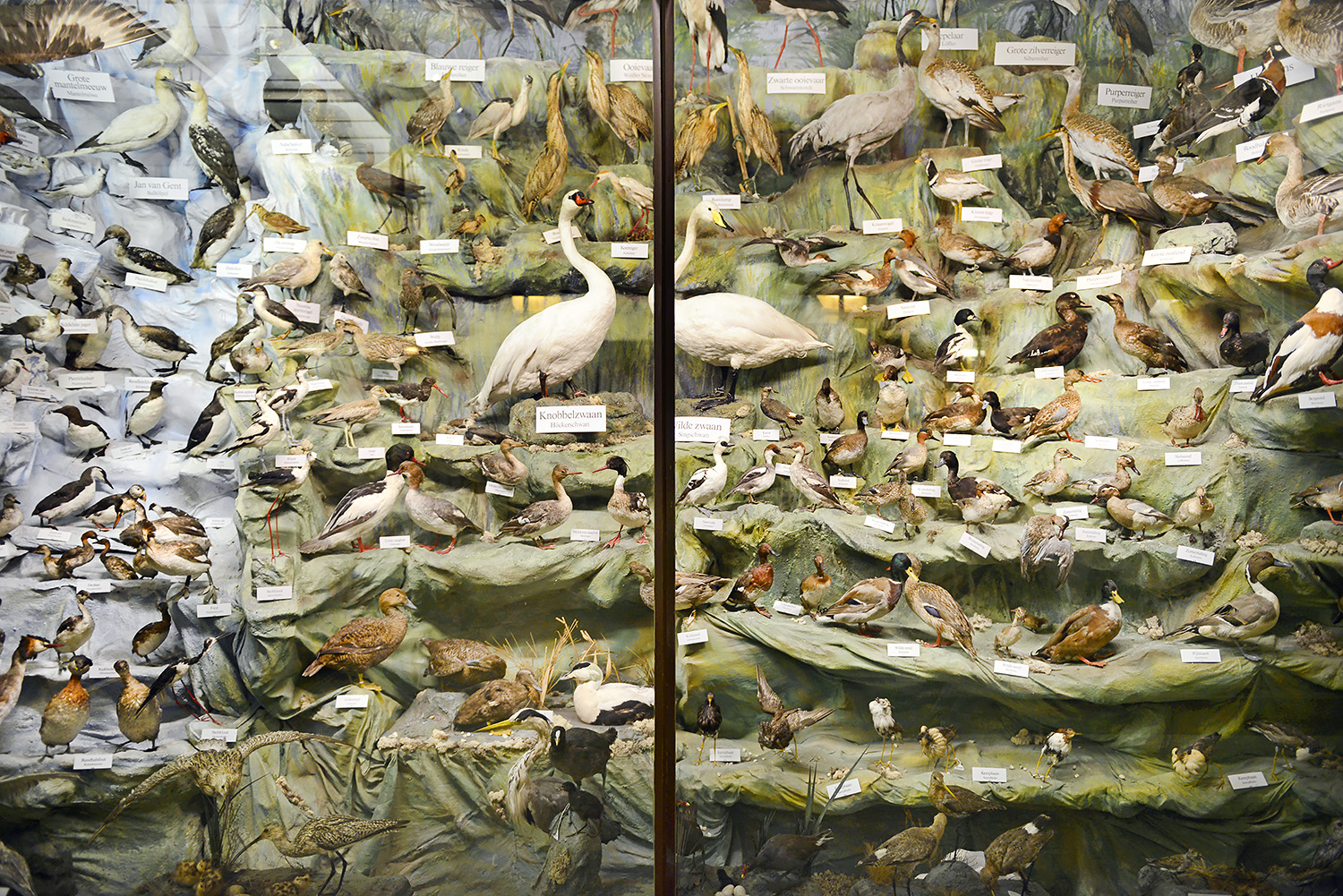 missiemuseum steyl 5-2022 2550