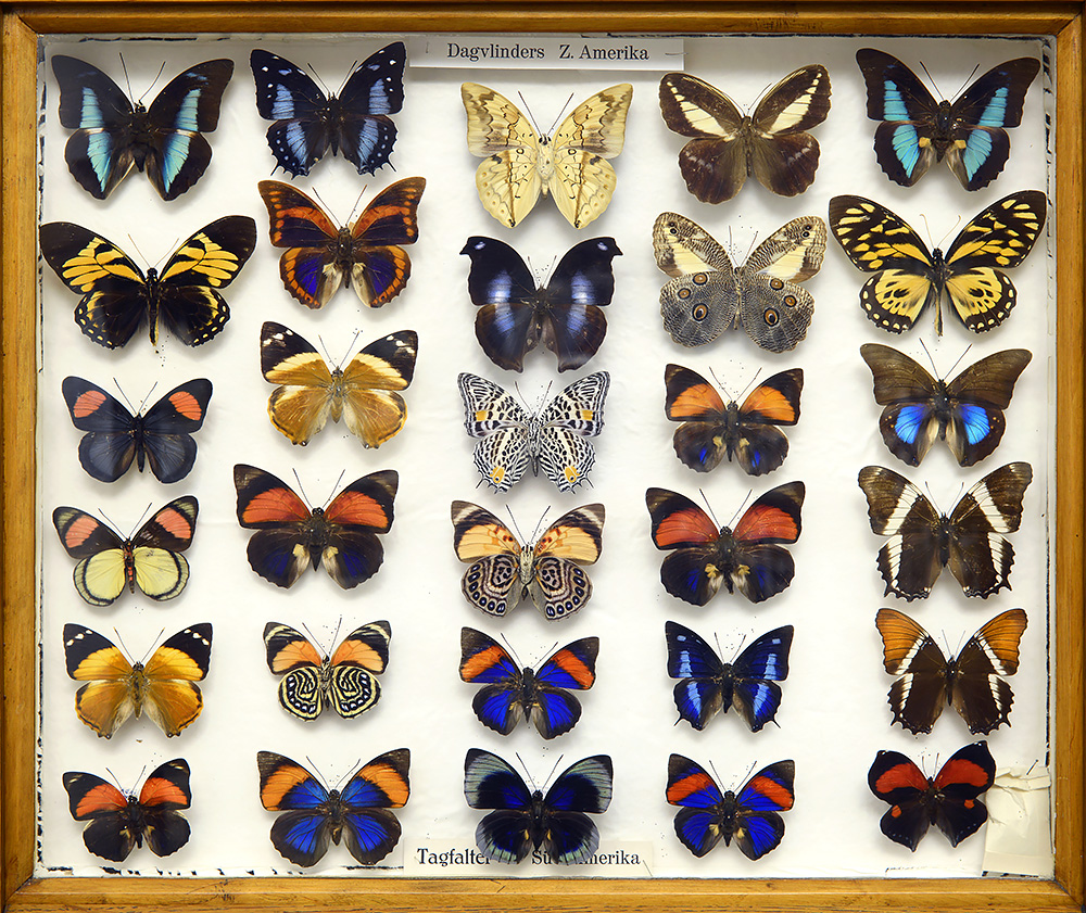 missiemuseum steyl 5-2022 3227