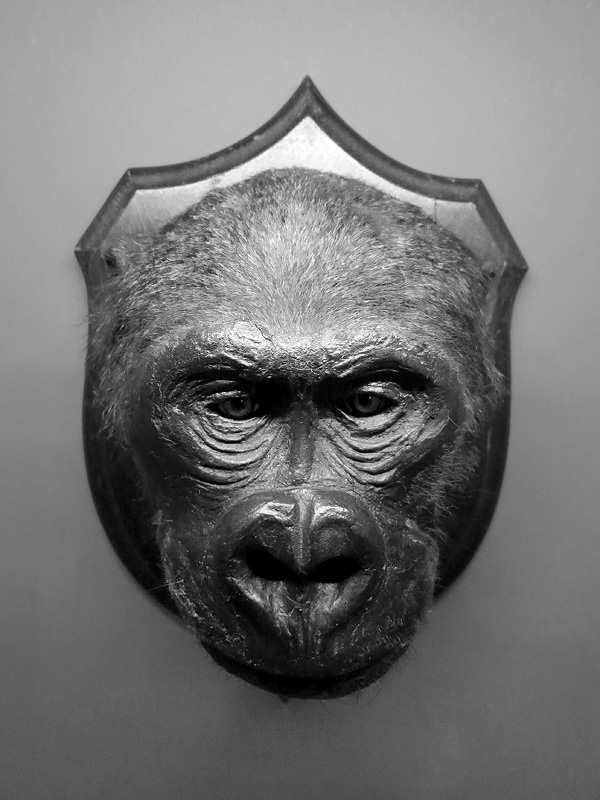 mnhn parijs 12-2015 8387